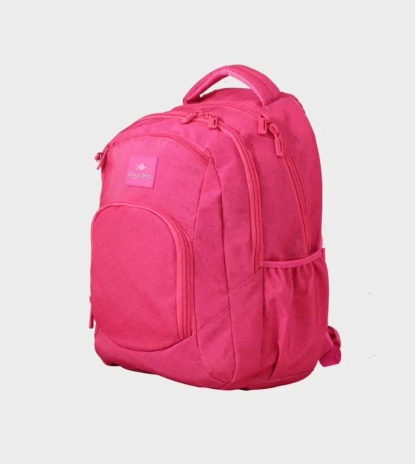 School Backpack GB5195P-3